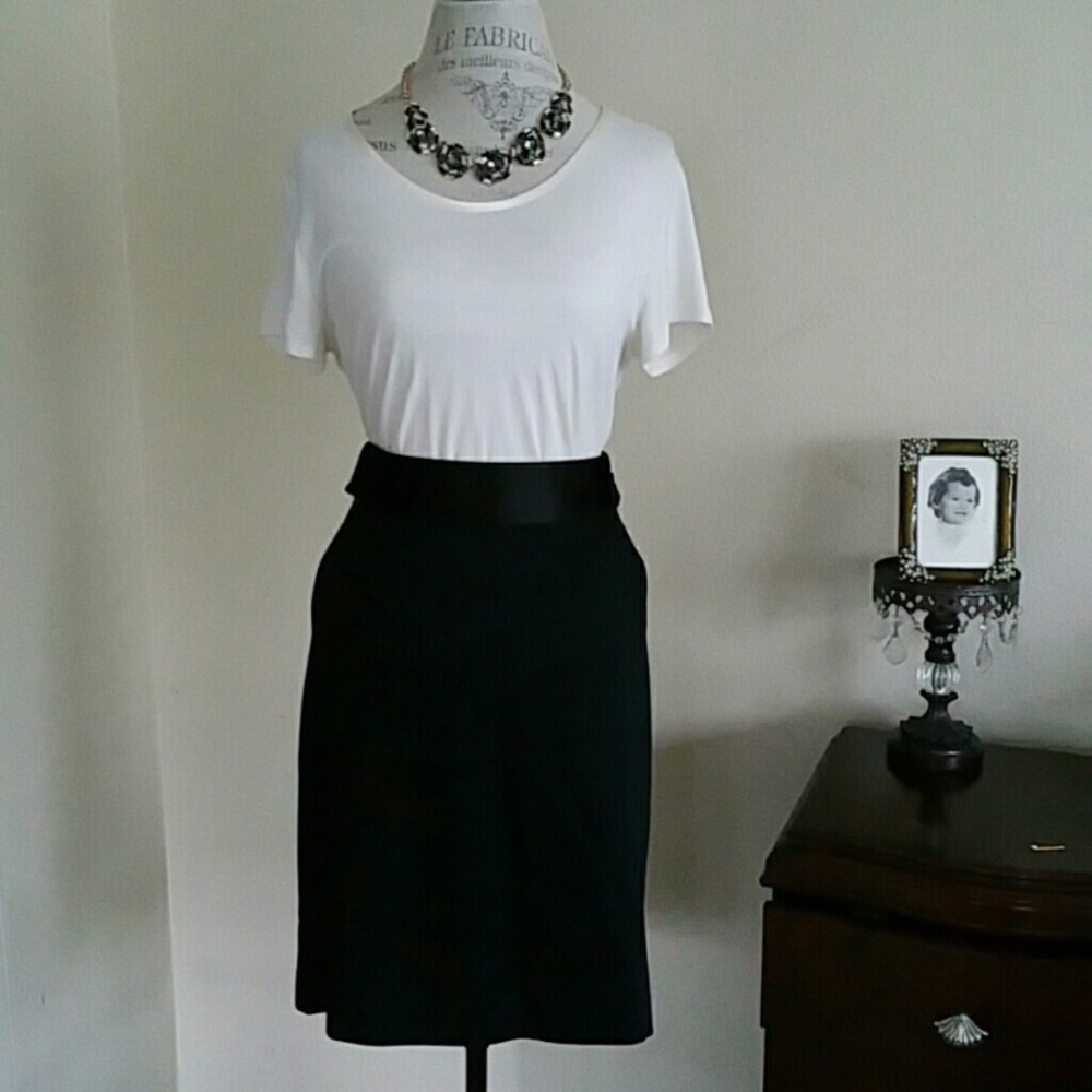 Banana Republic Pencil Skirt